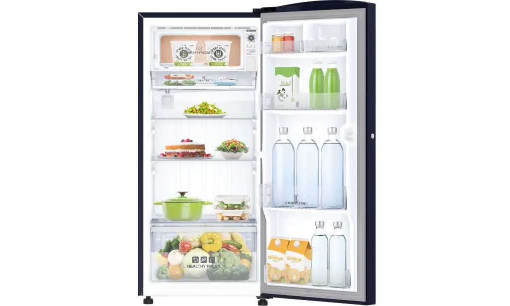 8905799101025- (4).webp