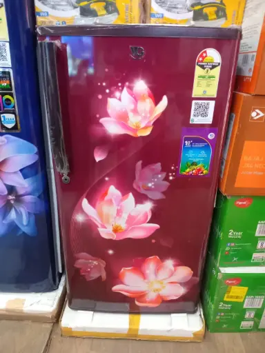 VG 175L Single Door Refrigerator (REFVD202/2025, 2 STAR)